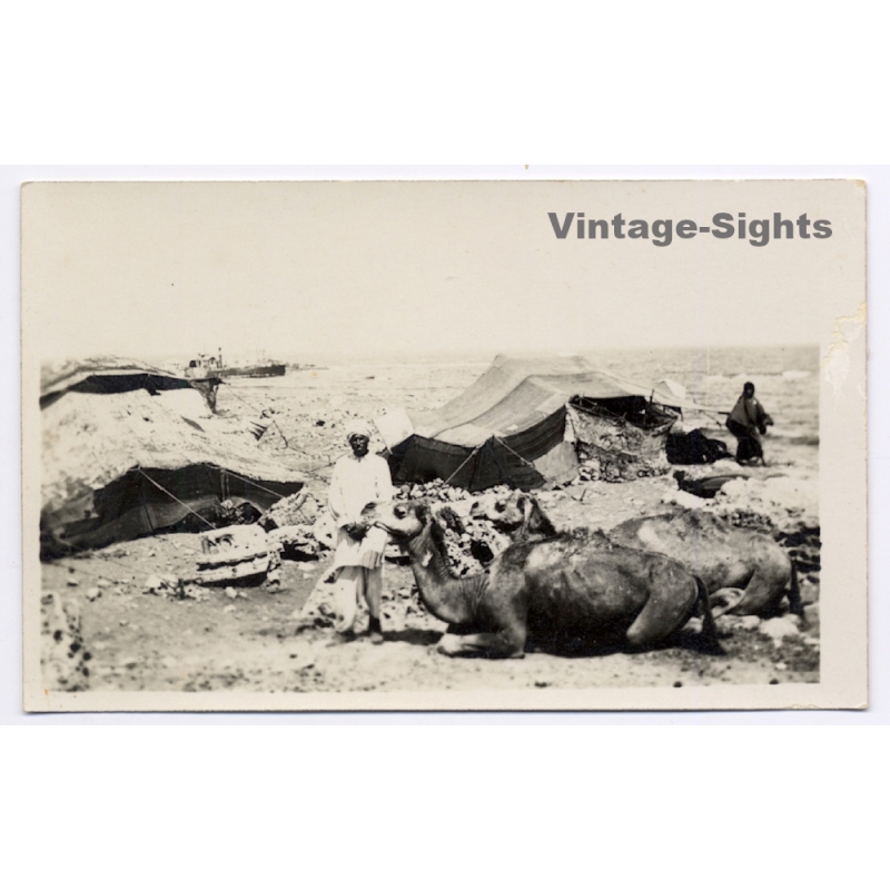 Tripolitana Italiana: Bedouin Camp - Berber - Camels / B.Liotti (Vintage RPPC ~1910s/1920s)