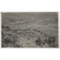 Tripolitana Italiana: Bedouins With Camel Caravan (Vintage RPPC ~1920s)