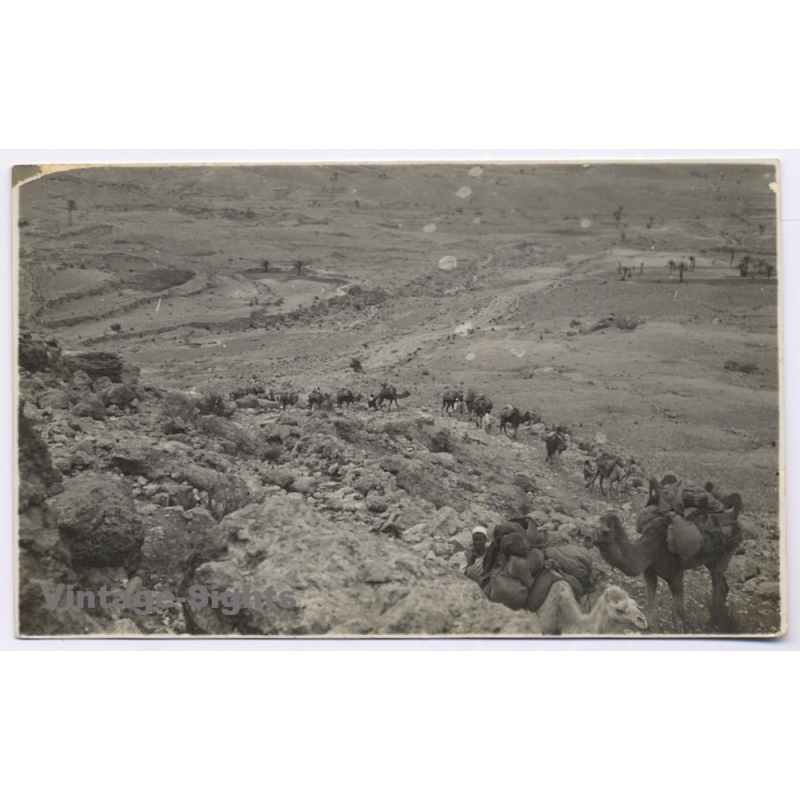 Tripolitana Italiana: Bedouins With Camel Caravan (Vintage RPPC ~1920s)