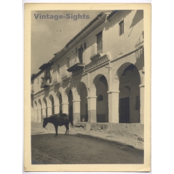 Estudio Amer Madrid: Guadalupe Extramadura Architecture (Vintage Photo 40x30CM Kodak BRTF 1940s)