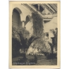Estudio Amer: Palacio de Viana Córdoba Courtyard (Vintage Photo 40x30CM Kodak BRTF 1940s)