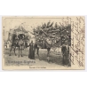 Egypt: Wedding Fantasy / Camel - Hautaj (Vintage PC 1904)