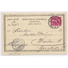 Egypt: Wedding Fantasy / Camel - Hautaj (Vintage PC 1904)