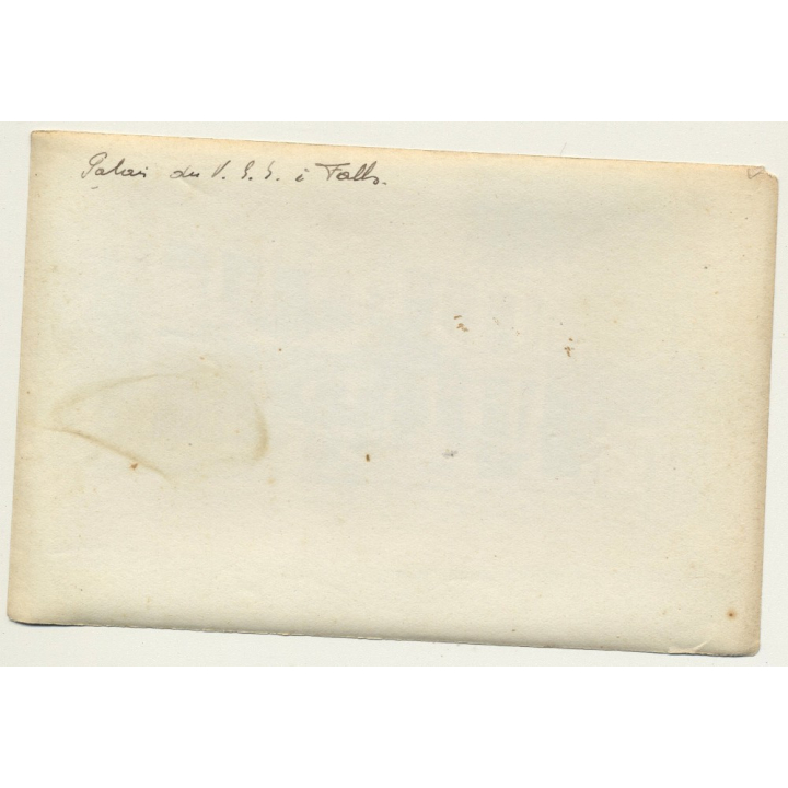 Falls - Congo: Palais Du V. S. S. (Vintage Photo Sepia 1919)