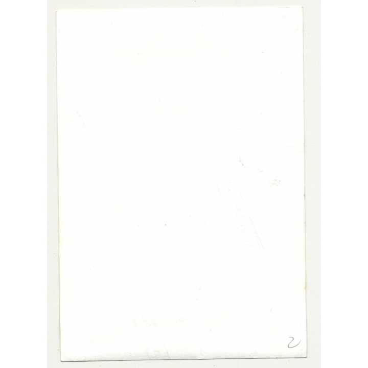 Blonde Nude Woman With Suspenders / Small Breast (Vintage Photo B/W ~1950s)