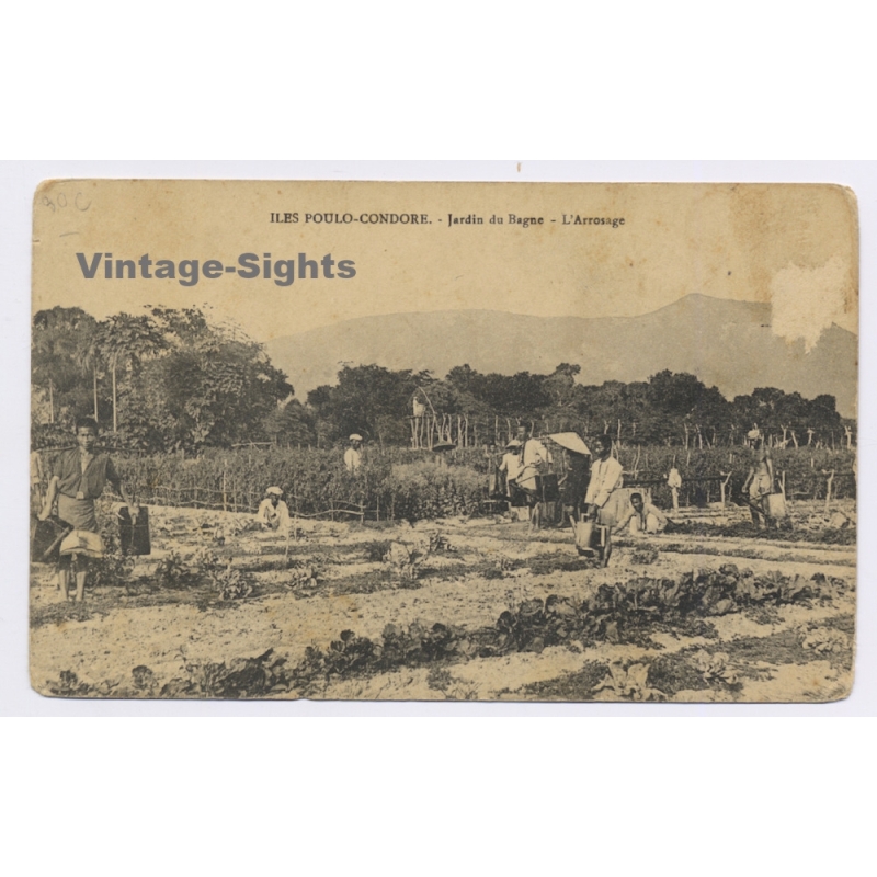 Iles Poulo-Condore / Vietnam: Jardin du Bagne - L'Arrosage - Prison (Vintage PC ~1910s)