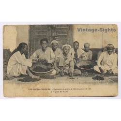 Iles Poulo-Condore / Vietnam: Egreneurs de Poivre et Decortiqueurs de Caféau Bagne - Prison (Vintage PC ~1910s)