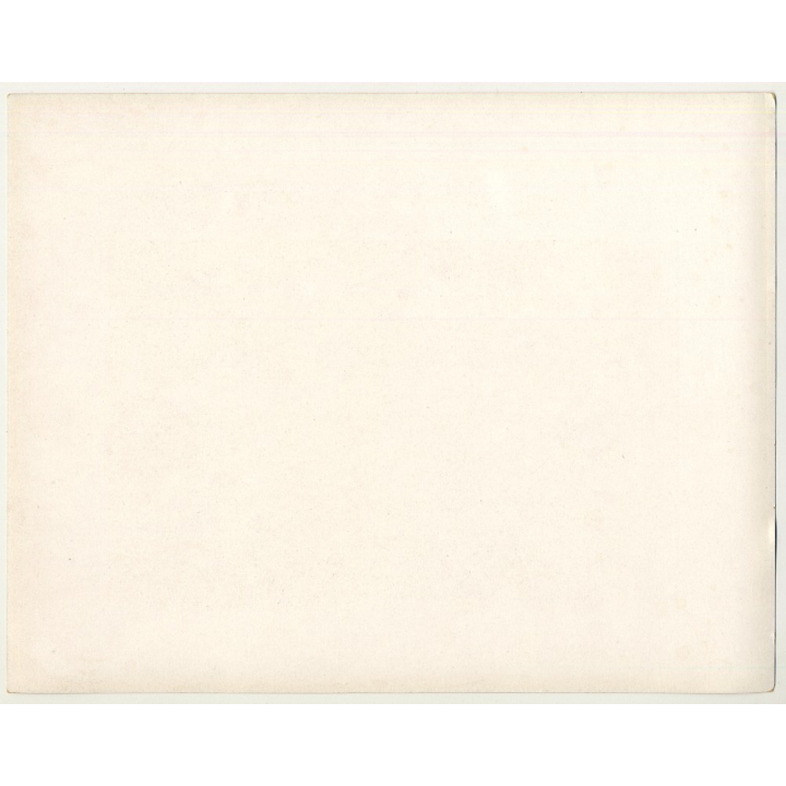 Fernand Allard L'Olivier: Le Safari Du Blanc (Vintage Art Print 32 x 25.5 CM ~ 1930s)