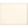 Fernand Allard L'Olivier: Le Safari Du Blanc (Vintage Art Print 32 x 25.5 CM ~ 1930s)