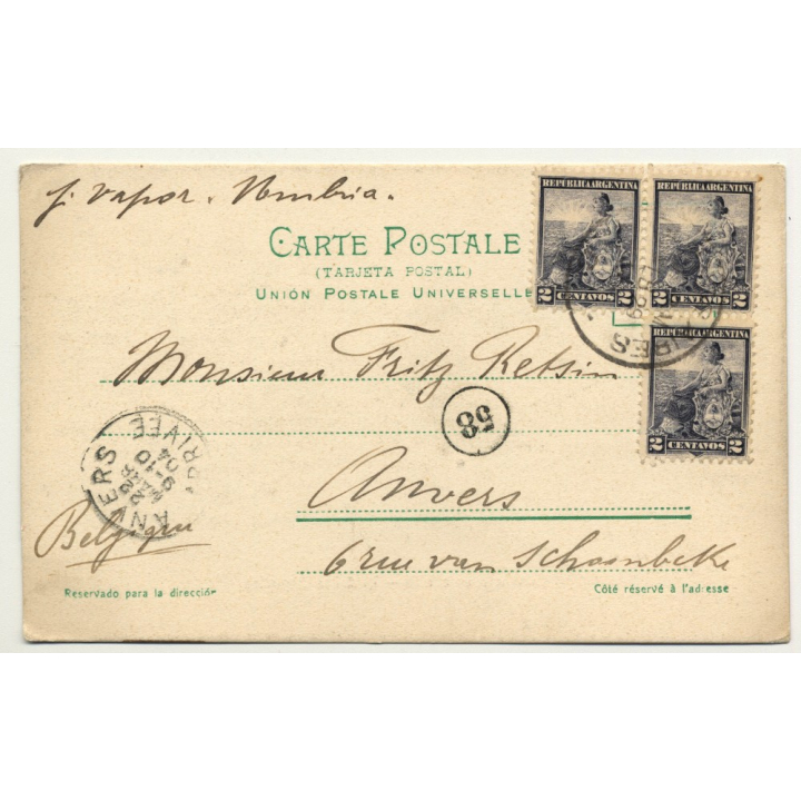 Argentina: Enlazando Un Caballo (Vintage Postcard B/W 1904)