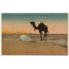 6158 Scenes Et Types: La Prière Au Desert / Prayer In The Desert (Vintage Postcard)