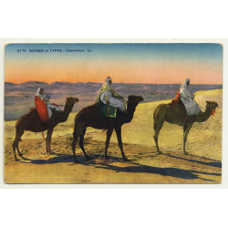 6174 Scenes Et Types: Chameliers / Camels (Vintage Postcard)