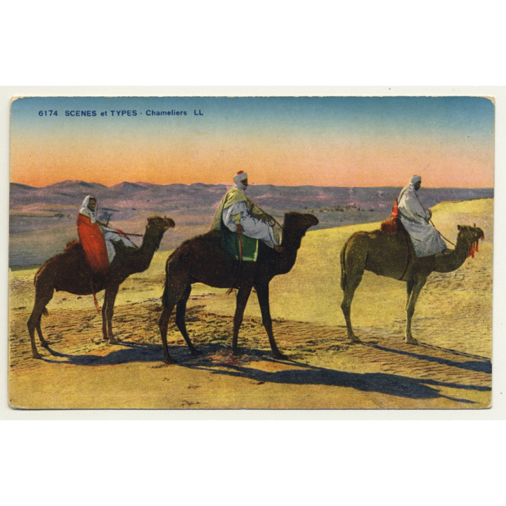 6174 Scenes Et Types: Chameliers / Camels (Vintage Postcard)