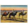 6174 Scenes Et Types: Chameliers / Camels (Vintage Postcard)