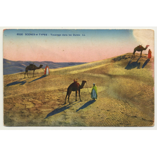6530 Scenes Et Types: Touareg Dans Les Dunes (Vintage Postcard)
