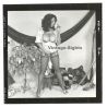 Erotic Study: Busty Curvy Black Nude Female*11 (Vintage Contact Print 1970s/1980s)