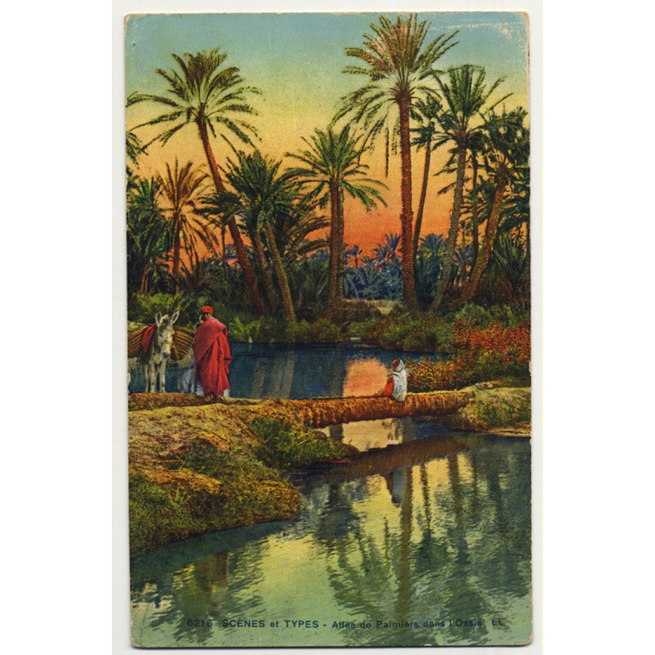 6216 Scenes Et Types: Allée Des Palmiers Dans L'Oasis (Vintage Postcard)