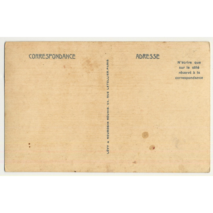 6216 Scenes Et Types: Allée Des Palmiers Dans L'Oasis (Vintage Postcard)