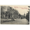 Barcelona: Parque De Las Magnolias Y Umbráculo / Elixir Giol Publicidad (Vintage Postcard B/W)