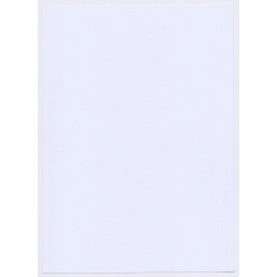 Artistic Erotic Study: Tantalizing Slim Nude Look At Camera (Large Digital Photo 30 x 21 CM ~2000s)