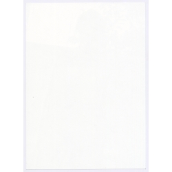 Artistic Erotic Study: Great Take Of Slim Natural Nude With Tan Lines(Large Digital Photo 30 x 21 CM ~2000s)