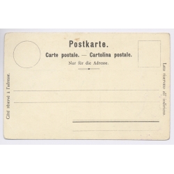 Ballaigues / Switzerland: Grand Hotel Aubépine - Hotel Beau Site - Hotel Aurore (Vintage PC Litho 1900s)