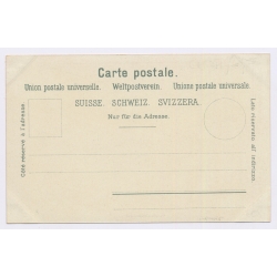 Wädensweil / Switzerland: Steamship - Castle (Vintage PC Litho 1900s)