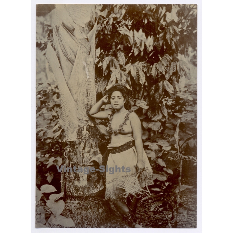 German Samoa: Topless Samoan Female SMS Hansa Imperial Navy (Rare Vintage Photo 1904)