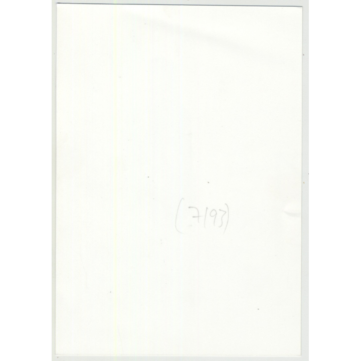 Classy Woman Flashes Her Butt In Staircase / Suspenders (Vintage Photo 1980s)