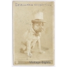 Palma De Mallorca: French Bulldog Top Hat Costume (Vintage RPPC NPG 1907)