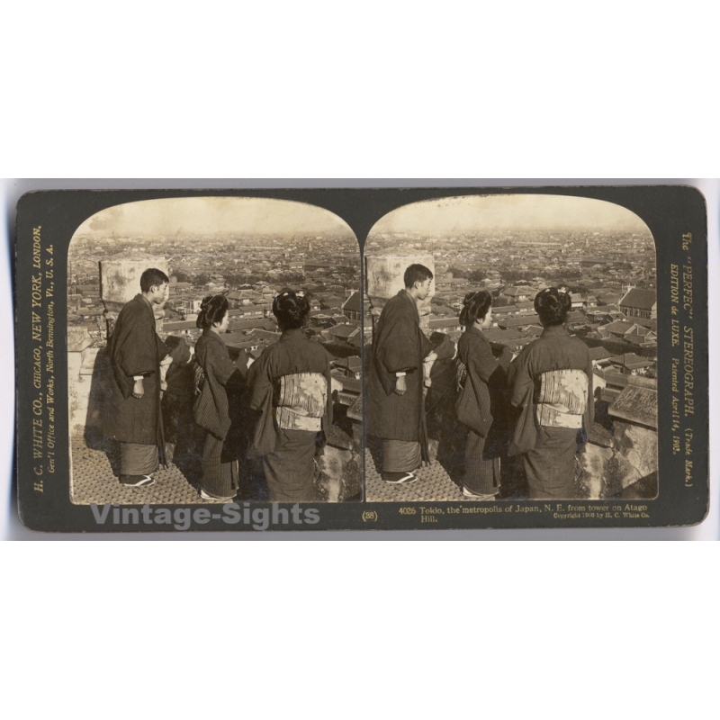 Tokyo / Japan: Geisha Kimono Meiji Era (Vintage Stereoview Photo 1906)