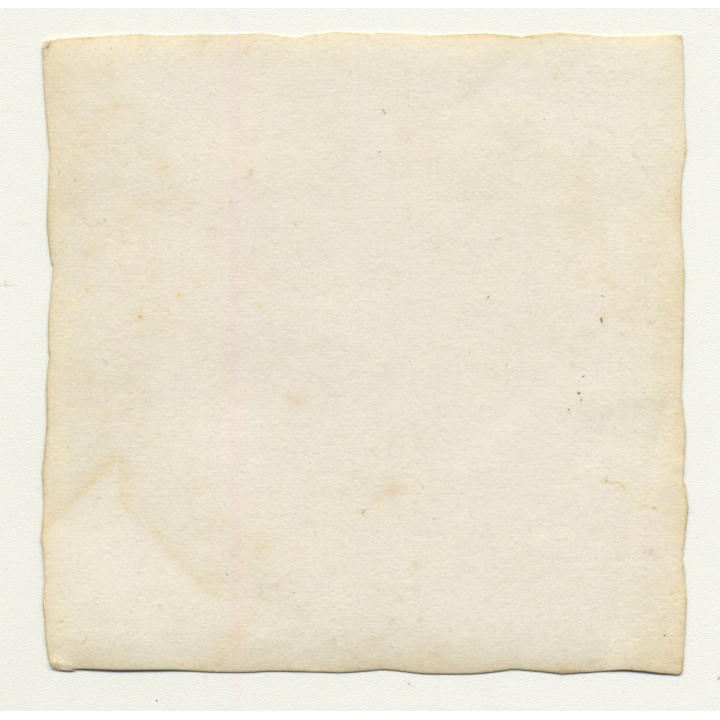 Congo Belge: Colonial Master Plays With His Dogs (Vintage Photo B/W ~1930s)