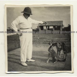 Congo Belge: Colonial Master Plays With His Dogs *2 (Vintage Photo B/W ~1930s)