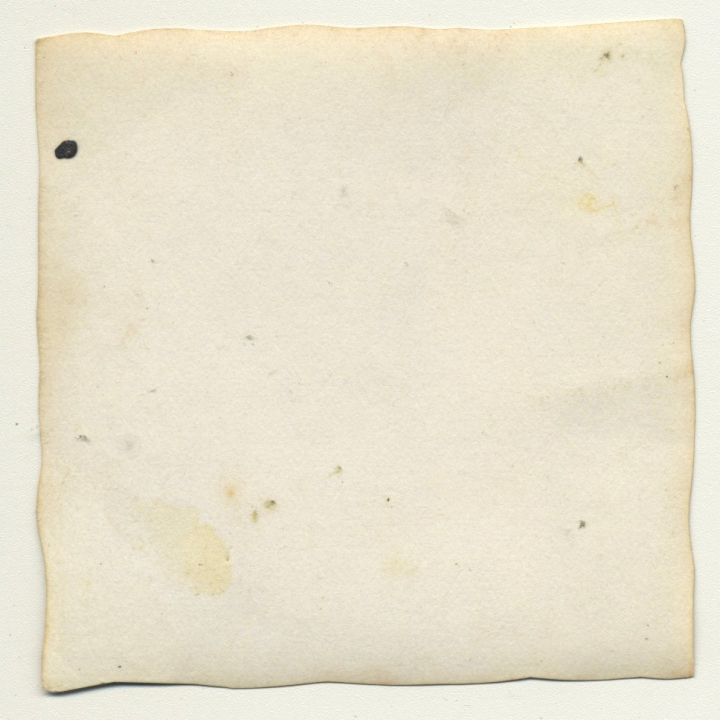 Congo Belge: Colonial Master Plays With His Dogs *2 (Vintage Photo B/W ~1930s)