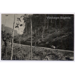 Congo Belge: Early Automobile Driving Jungle Forest Road (Vintage RPPC ~1920s/1930s)