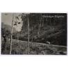 Congo Belge: Early Automobile Driving Jungle Forest Road (Vintage RPPC ~1920s/1930s)