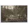 Congo Belge: Jungle Road Construction Colonial Expedition (Vintage RPPC ~1920s/1930s)