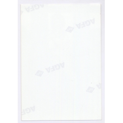 Erotic Study: Skinny Blonde Semi Nude Flashes Pussy (Vintage Photo Germany ~1990s)
