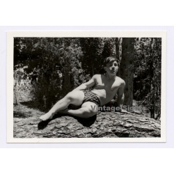 Muscular Young Man In Swim Trunks On Tree Trunk / Gay INT (Vintage Photo 1960s)