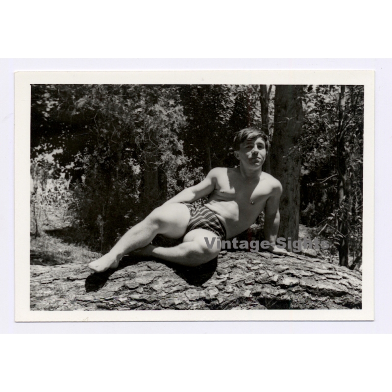Muscular Young Man In Swim Trunks On Tree Trunk / Gay INT (Vintage Photo 1960s)
