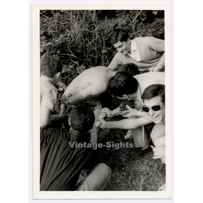 Group Of Young Men Try To Pull Down Friends' Towel / Gay INT (Vintage Photo 1960s)