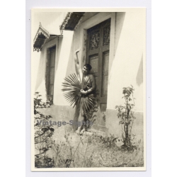 Funny Take Of Camp Nude Man Hiding Behind A Plant / Gay INT (Vintage Photo 1960s)