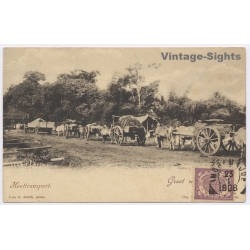 Java / Dutch East Indies: Houttransport Ox Cart Wood Transport (Vintage PC 1908)
