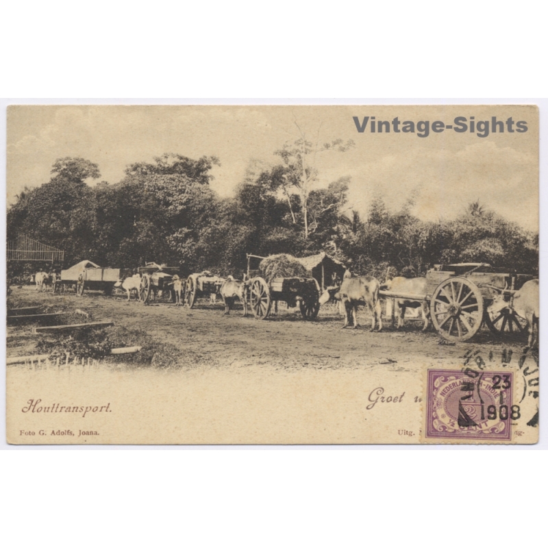 Java / Dutch East Indies: Houttransport Ox Cart Wood Transport (Vintage PC 1908)