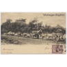 Java / Dutch East Indies: Houttransport Ox Cart Wood Transport (Vintage PC 1908)