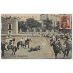 Mexico: Un Coleadoro Charreria To Miguel Vila Mallorca (Vintage PC 1916)