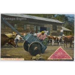Costa Rica: Country Life Ox Cart Carreta Triangular Stamp (Vintage PC 1925)