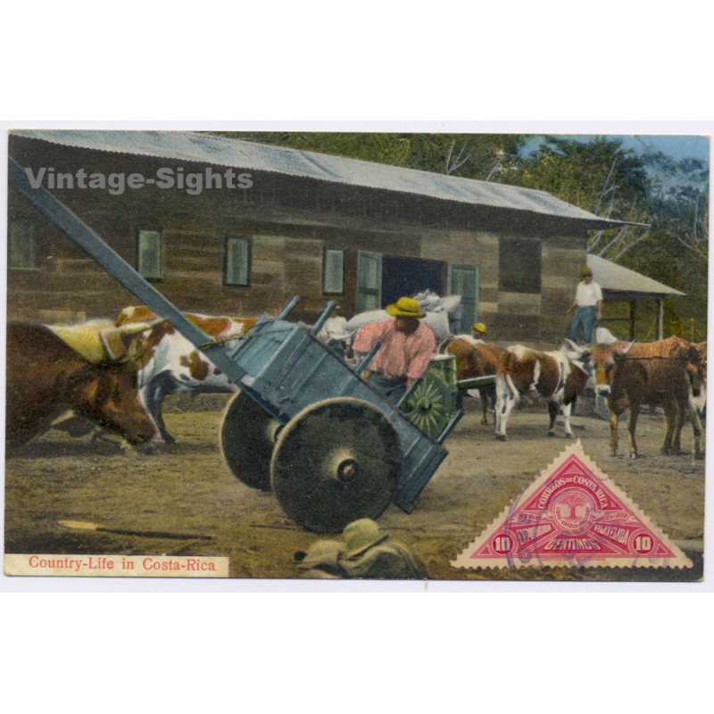Costa Rica: Country Life Ox Cart Carreta Triangular Stamp (Vintage PC 1925)