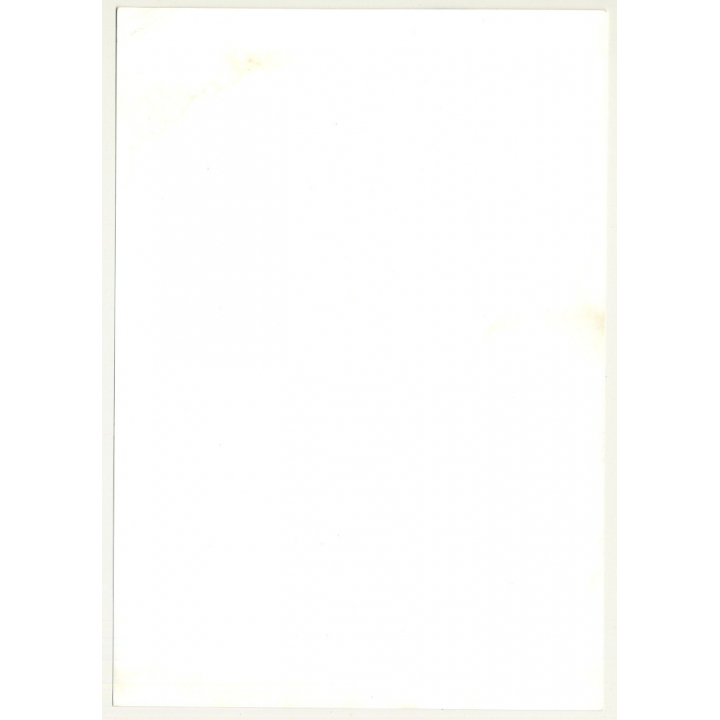 Natural Brunette Hippie Beauty On Meadow / Headband (Vintage Photo Master 1970s Fashion)