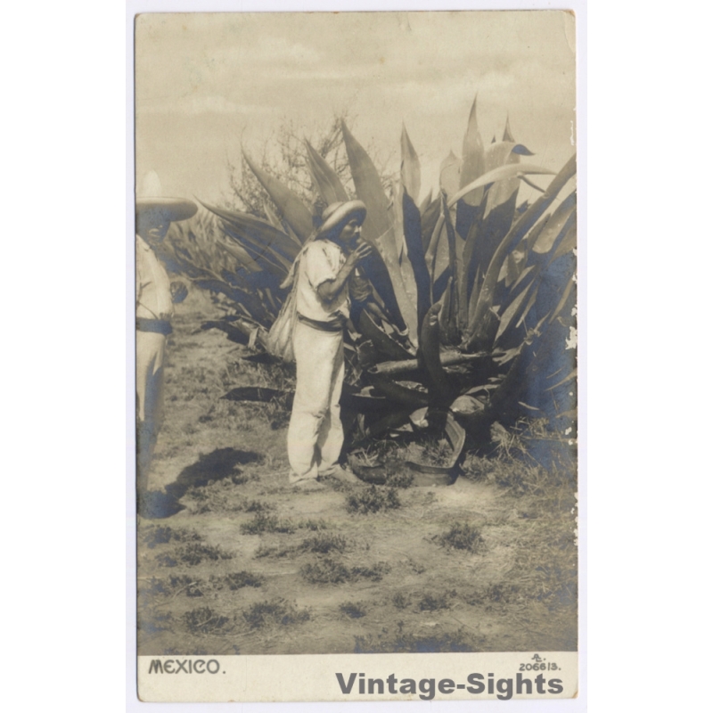 Mexico: Maguey Agave Pulgue Harvest Sombrero / Ethnic (Vintage RPPC 1910s)